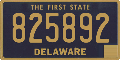 DE license plate 825892