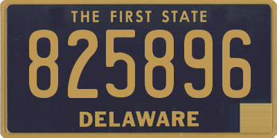 DE license plate 825896