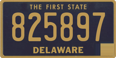 DE license plate 825897