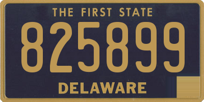 DE license plate 825899