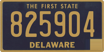 DE license plate 825904