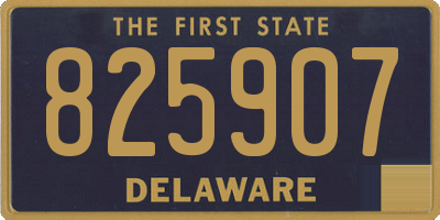 DE license plate 825907