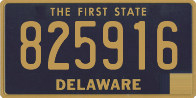DE license plate 825916