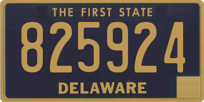 DE license plate 825924