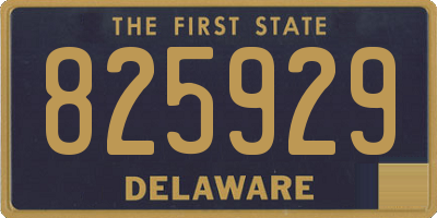 DE license plate 825929