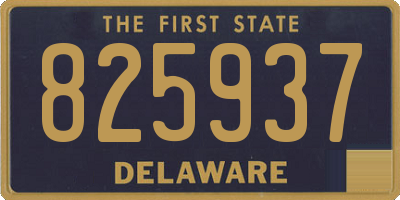 DE license plate 825937