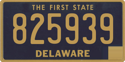 DE license plate 825939