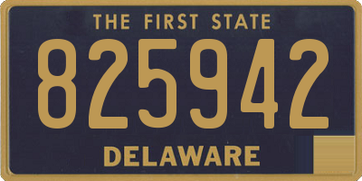 DE license plate 825942