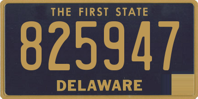 DE license plate 825947