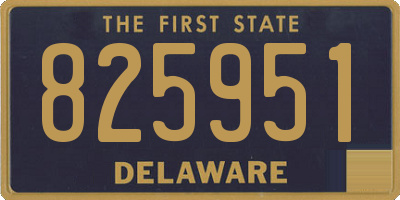 DE license plate 825951