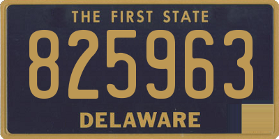 DE license plate 825963