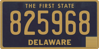 DE license plate 825968