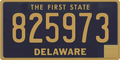 DE license plate 825973