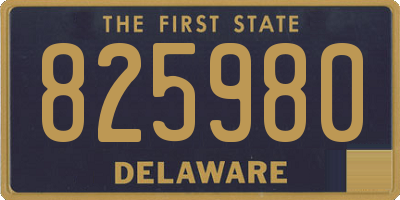 DE license plate 825980