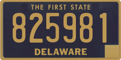 DE license plate 825981