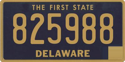DE license plate 825988