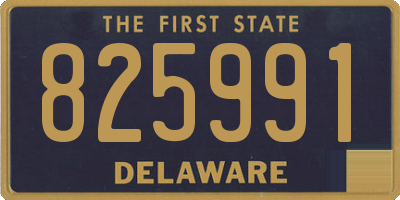 DE license plate 825991