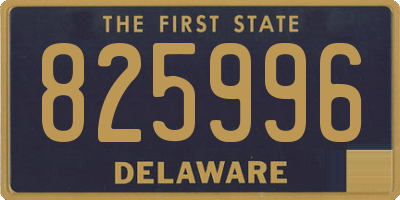 DE license plate 825996