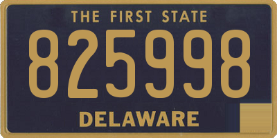DE license plate 825998