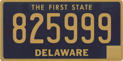 DE license plate 825999