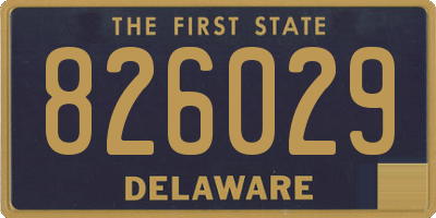 DE license plate 826029
