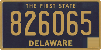 DE license plate 826065