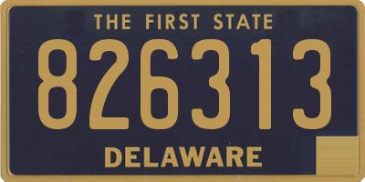 DE license plate 826313