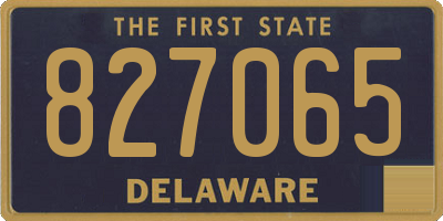 DE license plate 827065