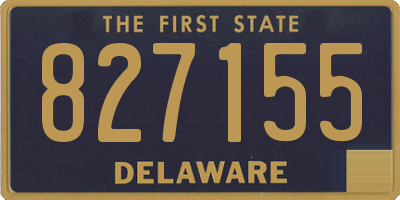 DE license plate 827155