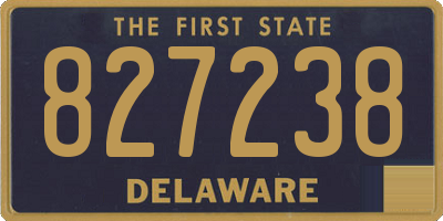 DE license plate 827238