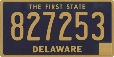DE license plate 827253