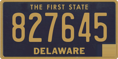 DE license plate 827645