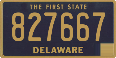 DE license plate 827667