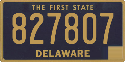 DE license plate 827807