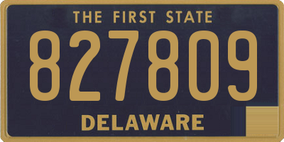 DE license plate 827809