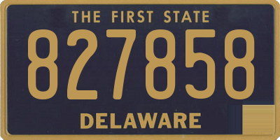 DE license plate 827858