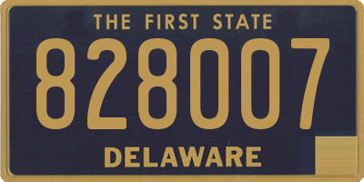 DE license plate 828007