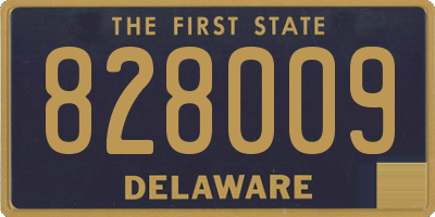 DE license plate 828009