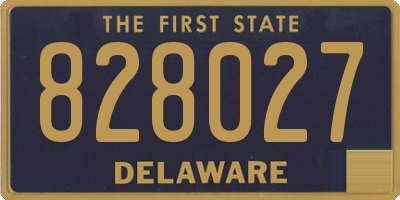 DE license plate 828027