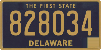 DE license plate 828034