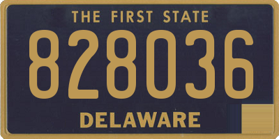 DE license plate 828036