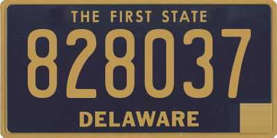 DE license plate 828037