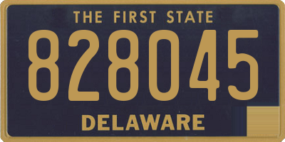 DE license plate 828045