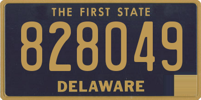 DE license plate 828049