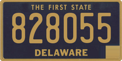 DE license plate 828055