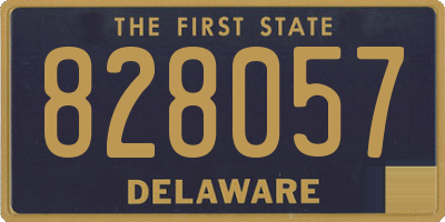 DE license plate 828057