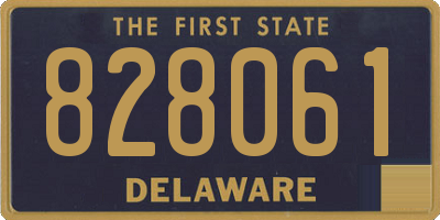 DE license plate 828061