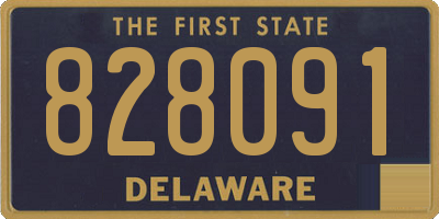 DE license plate 828091