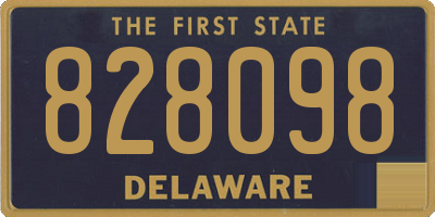 DE license plate 828098