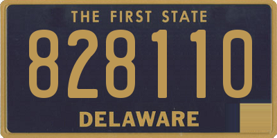 DE license plate 828110